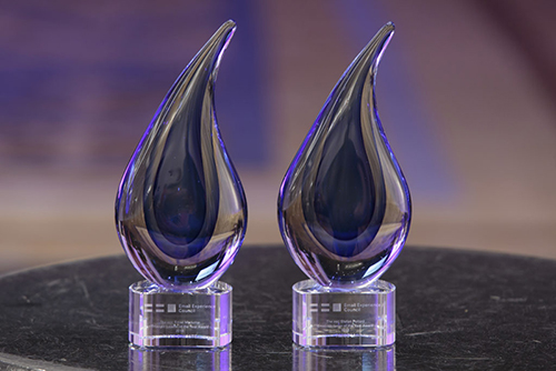 ANA Email Excellence Center Awards trophies on display